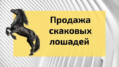 Скаковые лошади / Japan Racing Association Win5 race horses из бумаги,  модели сборные бумажные скачать бесплатно - Лошадь - Животные - Каталог  моделей - «Только бумага»