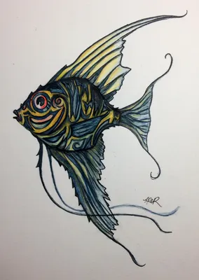 Рыба скалярия рисунок - 55 фото