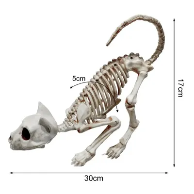 Скелет Сизого Голубя Биология 7 Класс Рисунок (51 Фото)