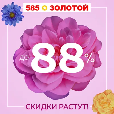 🌹ДАРИМ СКИДКИ К 8 МАРТА🌹 Только 7, 8 и 9 марта Супермаркет для кондитера  ВТК дарит🎁 скидку 8% на все! ⠀ 🌟Не пропустите и не опоздайте! Просто  оформи… | Магазины