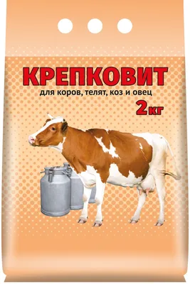 Издевательство на коровой в Хмельницкой области: полиция нашла  изнасиловавшего корову злоумышленника, ТСН, новости 1+1 — Украина