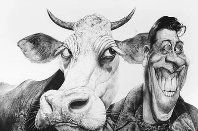 Goloka Обитель счастливых быков и коров For happy bulls and cows