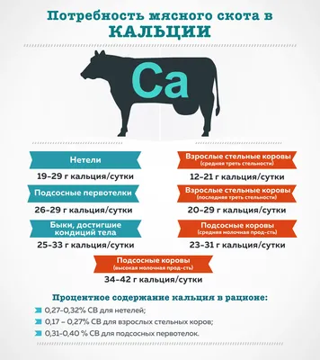 Роль микроэлементов в кормлении крупного рогатого скота - Группа компаний  Капитал ПРОК