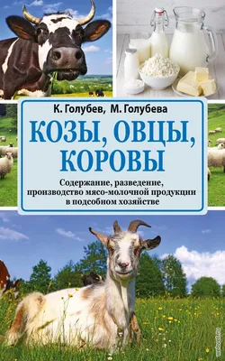 Кетоз у коров: симптомы заболевания и его лечение