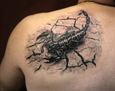 Татуировки скорпиона (78 фото)