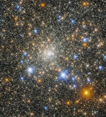 Hubble сфотографировал шаровое скопление звезд в созвездии Скорпиона -  Новости на KP.UA