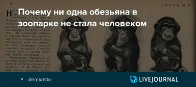 Как в СССР создавали гориллоидов, или Жуткие опыты советского «доктора  Моро» Ильи Иванова