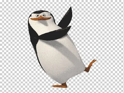 веселые пингвины, черный и белый, животное, смешной png | Klipartz