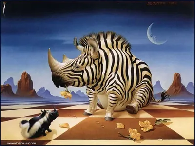 Что будет, если скрестить носорога с зеброй или со скунсом? прикольная  картинка фото, Что будет, если скрестить носорога с зеброй или со скунсом?  смешная картинка прикольное фото, смешные фото прикольные фотографии  картинки