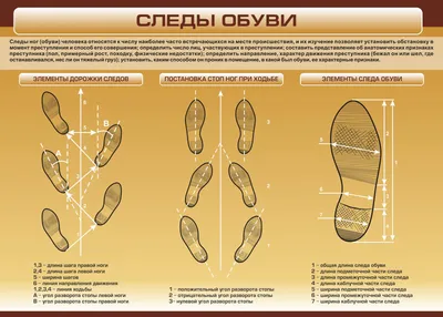 след обуви иллюстрация штока. иллюстрации насчитывающей добычи - 10867688