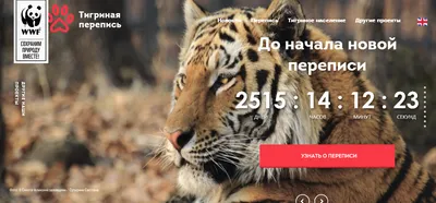 Мыло ручной работы лапа след тигра (ID#1495167003), цена: 57 ₴, купить на  Prom.ua