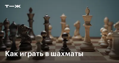 Шахматные фигуры: название, расстановка, как ходят