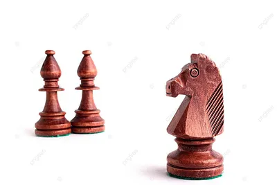 Купить Ткаченко С. \"Подвиги шахматного слона\" | Анна Дорофеева