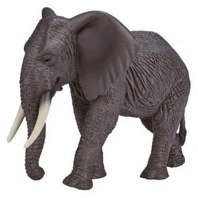 Фигурка KONIK Африканский слон самка - купить по лучшей цене в  интернет-магазине детских игрушек SunnyToy!