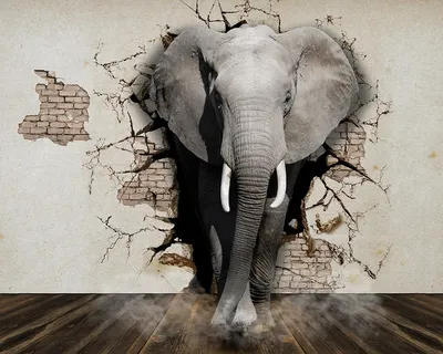 Фотообои Слон пробивает стену купить на стену • Эко Обои