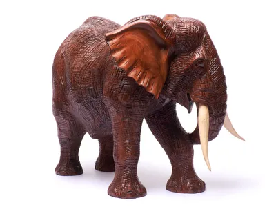 Купить Статуэтка слон деревянный резной высота 40см длина 44см, цена 19800  грн — Prom.ua (ID#1005888458)