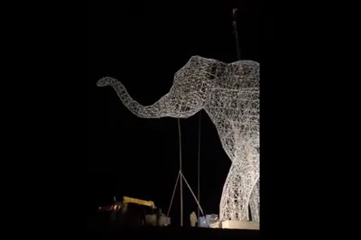 Светящийся слон на въезде в Ставрополь вызвал бурные дискуссии |  ОБЩЕСТВО:Люди | ОБЩЕСТВО | АиФ Ставрополь