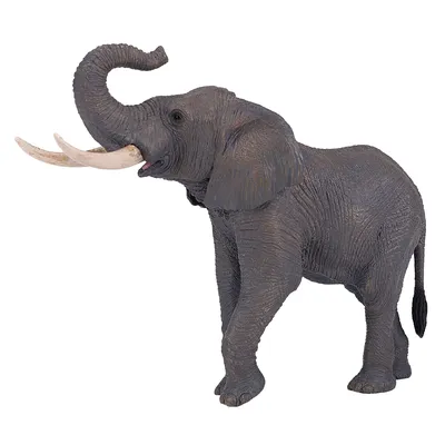 Фигурка KONIK Африканский слон самец - купить по лучшей цене в  интернет-магазине детских игрушек SunnyToy!