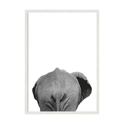 Постер животные сзади Слон. - купить в интернет магазин Мой Постер.