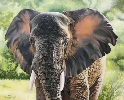 Африканский слон - ePuzzle фотоголоволомка