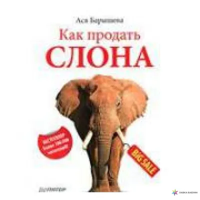 Как продать слона, Ася Барышева купить в интернет-магазине: цена, отзывы –  Лавка Бабуин, Киев, Украина
