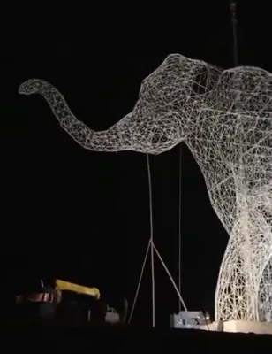 На подъезде к Ставрополю смонтировали гигантского слона - Портал Северного  Кавказа