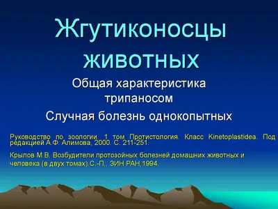 Эксперт Брянской испытательной лаборатории ФГБУ «ВНИИЗЖ» пояснила об  особенностях диагностики и лечения случной болезни лошадей - KP.RU