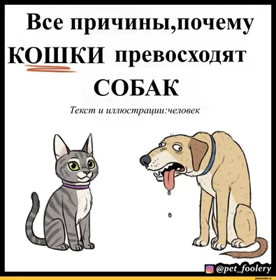 pet_foolery :: лучшие комиксы и переводы комиксов на русский / смешные  картинки и другие приколы: комиксы, гиф анимация, видео, лучший  интеллектуальный юмор.