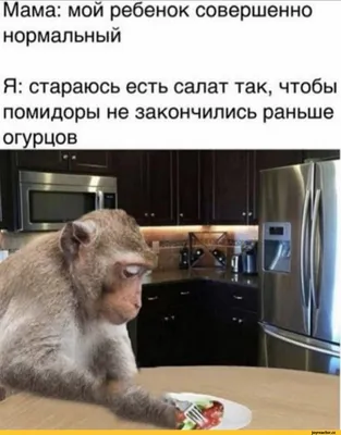 Смешные обезьян с надписью фотографии