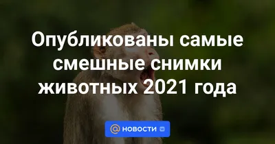 Кружка \"Кружка с принтом Boss решу любой вопрос Дмитрий\", 330 мл, 1 шт -  купить по доступным ценам в интернет-магазине OZON (648271236)