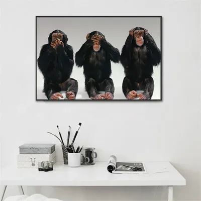 смешные обезьяны стоковое изображение. изображение насчитывающей еда -  66221993