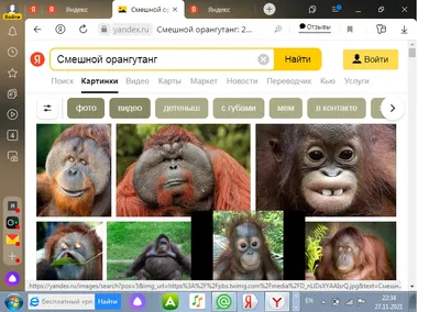 russian по низкой цене! russian с фотографиями, картинки на смешные обезьяны  images.alibaba.com