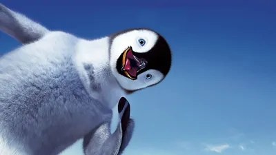 Смешные пингвины фото