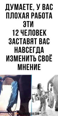 Эти 12 человек заставят вас навсегда изменить своё мнение, юмор |  alenakraeva.com в 2023 г | Картинки смешных людей, Сумасшедшие люди, Смешные  люди