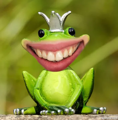Смешные жаб фото