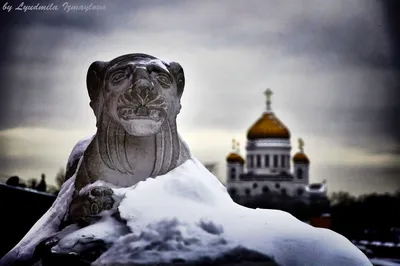 Обои на рабочий стол Лев в снегу и Храм Христа Спасителя в Москве, by  Людмила Измайлова, обои для рабочего стола, скачать обои, обои бесплатно