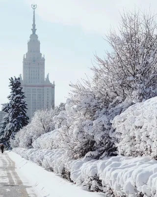 Картинки снежное сегодня (69 фото) » Картинки и статусы про окружающий мир  вокруг