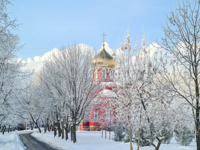 Агентство городских новостей «Москва» - Фотобанк