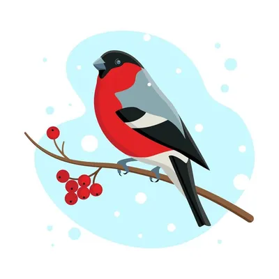 Снегирь: векторные изображения и иллюстрации, которые можно скачать  бесплатно | Freepik