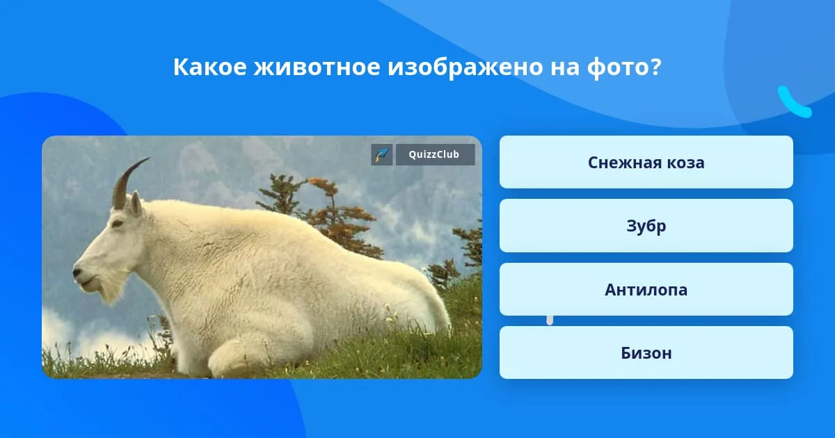 Снежная коза - YouTube Снежная коза - YouTube