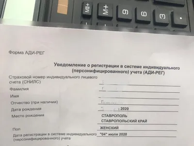 Родителям новорождённых ставропольцев больше не надо обращаться за СНИЛС |  Своё ТВ