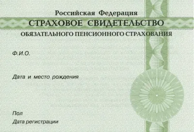 Высококвалифицированные специалисты теперь обязаны регистрироваться в  персонифицированном учёте в связи с отменой СНИЛС - Juralink