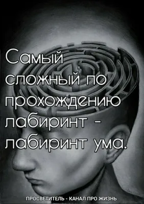 Идеи на тему «Психологические картинки со смыслом» (100) | мысли, мудрость,  цитаты со смыслом