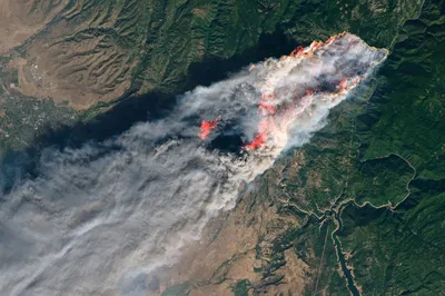 Разрушительные лесные пожары в Калифорнии сняли со спутника - ФОКУС