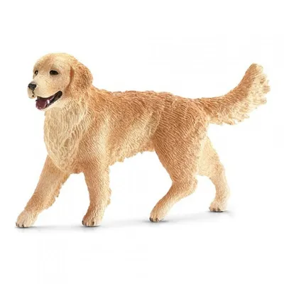 Кружка Printstar \"Собака, золотой ретривер щенок, молодая собака\", 320 мл -  купить по доступным ценам в интернет-магазине OZON (444306553)