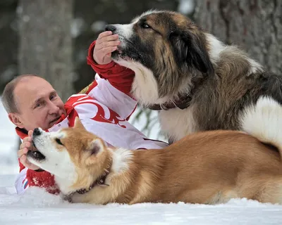 Фото дня: В.Путин и его собаки — РБК