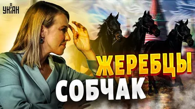 Собчак и ее жеребцы. Грязные тайны тети-лошади | Дорогие товарищи - YouTube