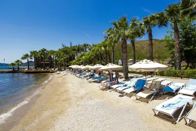 Fortezza Beach Resort 5* (Мармарис, Турция) - цены, отзывы, фото,  бронирование - ПАКС