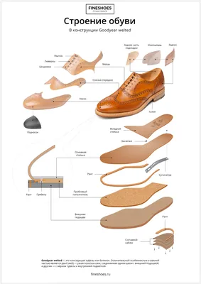 Составные части обуви – Telegraph