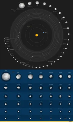 42 крупнейших астероида Солнечной системы / Реактор познавательный :: солнечная  система :: космос :: схема :: астероиды / смешные картинки и другие  приколы: комиксы, гиф анимация, видео, лучший интеллектуальный юмор.